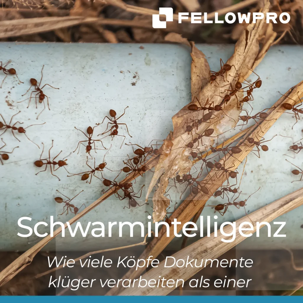 Schwarmintelligenz